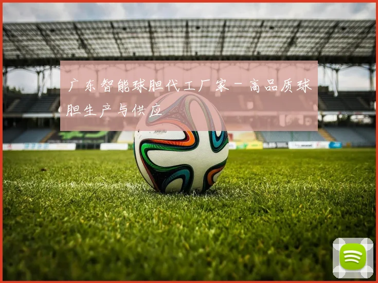 广东智能球胆代工厂家 - 高品质球胆生产与供应