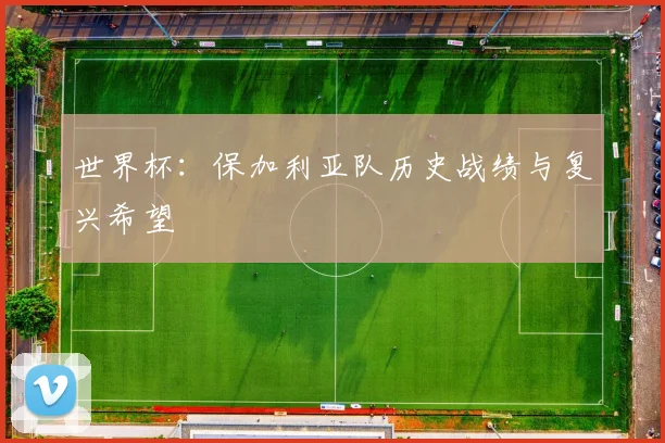 世界杯:保加利亚队历史战绩与复兴希望