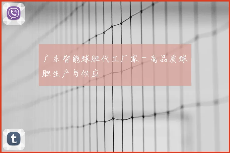广东智能球胆代工厂家 - 高品质球胆生产与供应